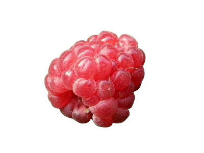 Soft Fruit 400×300